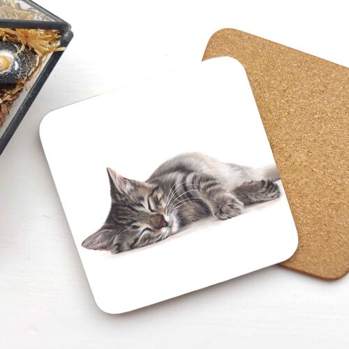 Coaster - Sleeping Cat