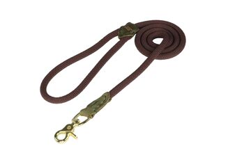 Laisse de marche DoggyWalker marron 120