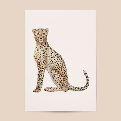 Poster cheetah - A4 or A3 size - kids room / baby nursery