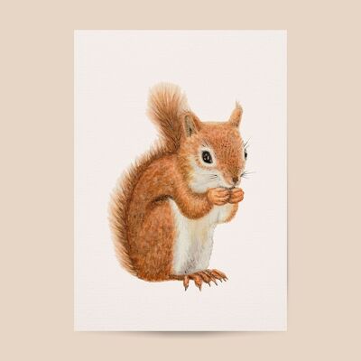 Squirrel poster - A4 or A3 size - kids room / baby nursery