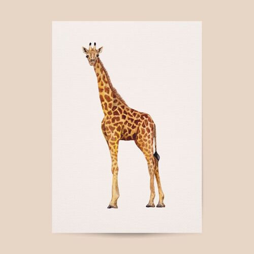 Poster giraffe - A4 or A3 size - kids room / baby nursery