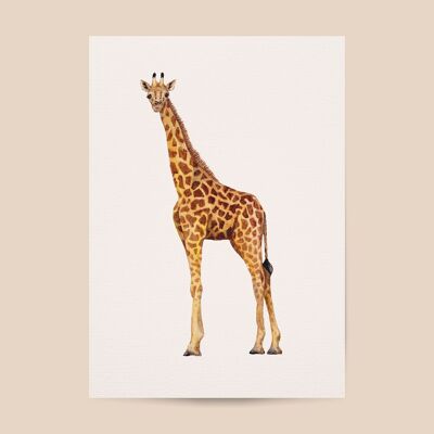 Poster Giraffe - Größe A4 oder A3 - Kinderzimmer / Babyzimmer
