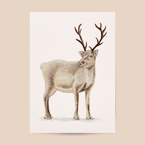 Poster reindeer - A4 or A3 size - kids room / baby nursery