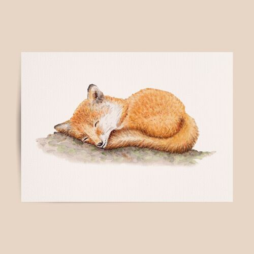 Poster fox - A4 or A3 size - kids room / baby nursery