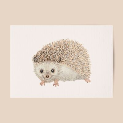 Poster hedgehog - A4 or A3 size - kids room / baby nursery