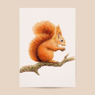 Squirrel poster - A4 or A3 size - kids room / baby nursery