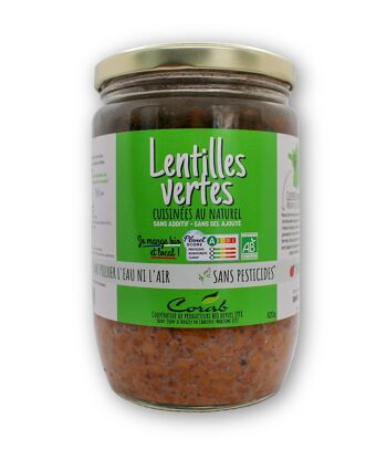 LENTILLES VERTES AU NATUREL 620g - ORIGINE FRANCE 1