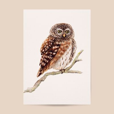 Poster owl - A4 or A3 size - kids room / baby nursery