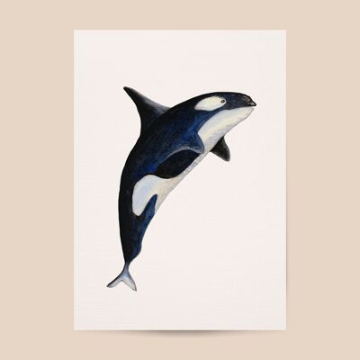 Poster orca - A4 or A3 size - kids room / baby nursery