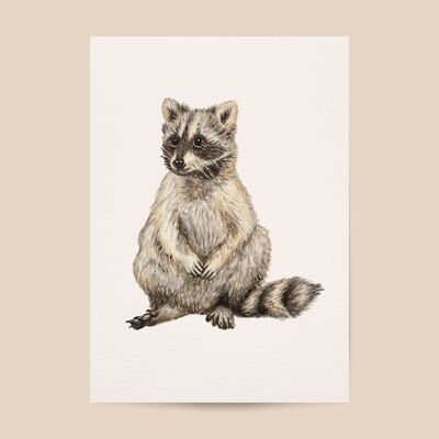 Poster raccoon - - A4 or A3 size - kids room / baby nursery