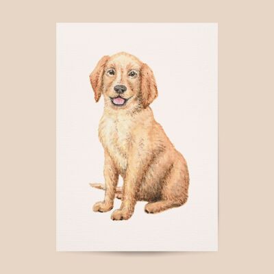 Poster puppy dog ​​- A4 or A3 size - kids room / baby nursery