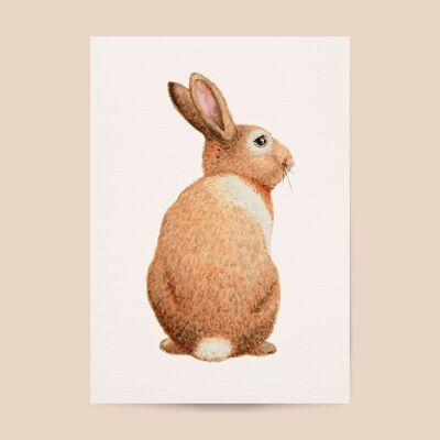 Poster rabbit - A4 or A3 size - kids room / baby nursery