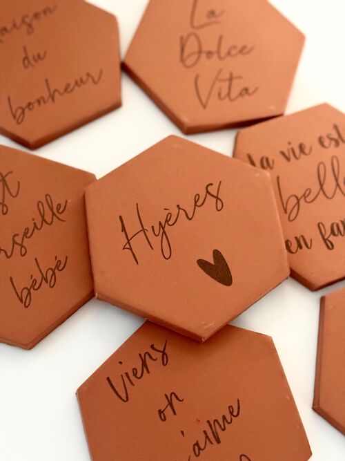 Carreau terre cuite hexagonae type tomette - Message