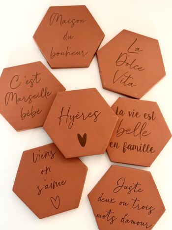 Carreau terre cuite hexagonae type tomette - Message 4