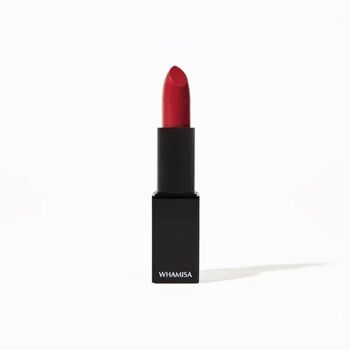 Rouge à lèvres 101 rouge feu 4g Whamisa Beauté Coréenne 1