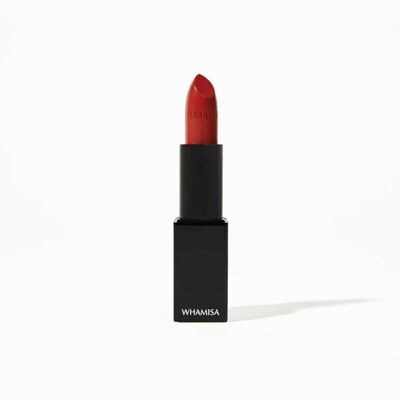 Lipstick 97 light red - 4G Whamisa Korean Beauty