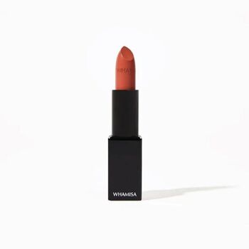 Rouge à lèvres 95 abricot -4G Whamisa Beauté Coréenne 1