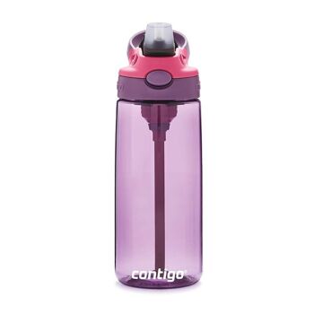 Bouteille NETTOYABLE Pour Enfants Violet 590 ml 2