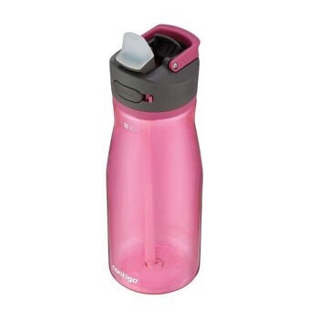 CENDRE 2.0 Bouteille Rose 950 ml 2