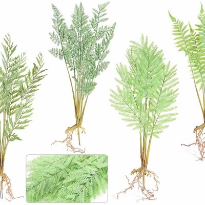 Artificial fern bunches with roots