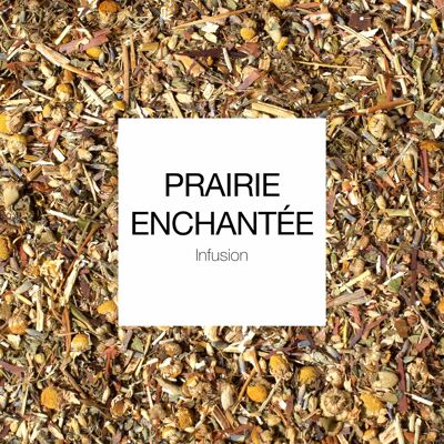 Relaxation infusion: Prairie Enchantée