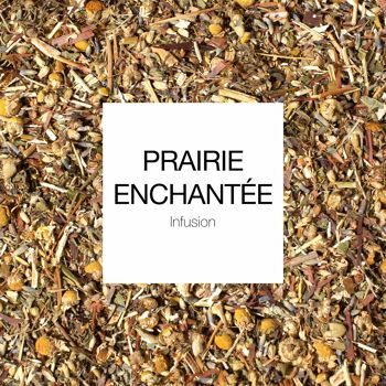Infusion relaxation : Prairie Enchantée 1