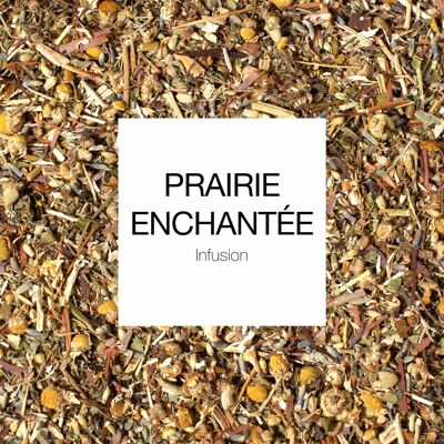 Infusion relaxation : Prairie Enchantée