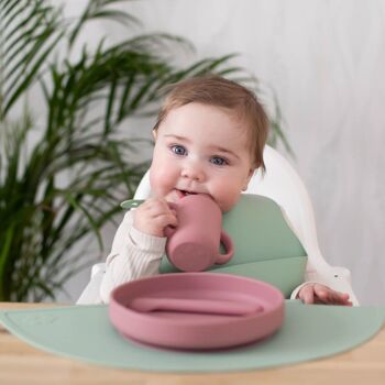 Assiette et cuillère en silicone rose poussiéreuse 4