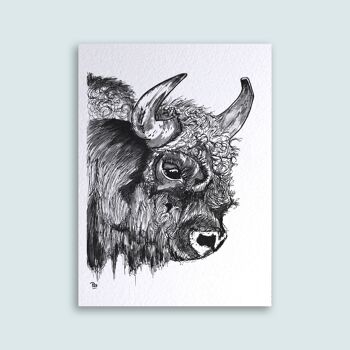 Carte Bison 1