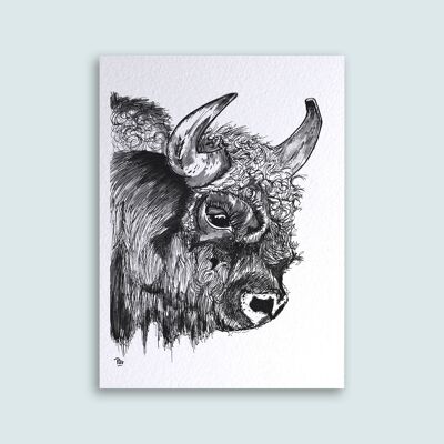 Carte Bison