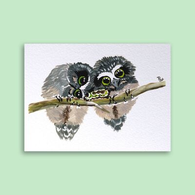 Card Two Owls