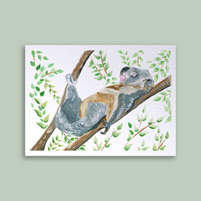 Karte Koala