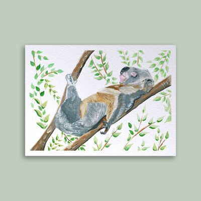 Carta Koala