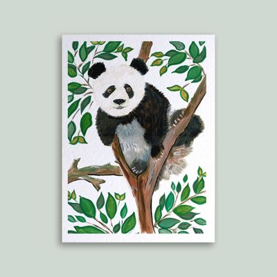 Card Panda in Tree