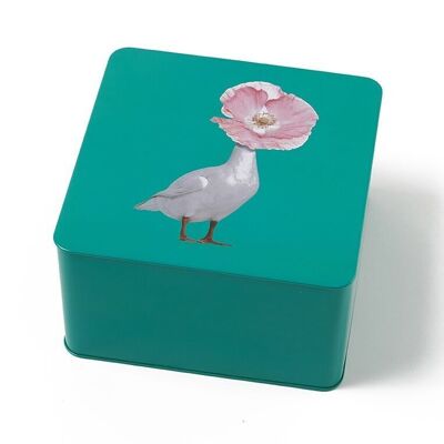 Diva square box - Curiosito Collection