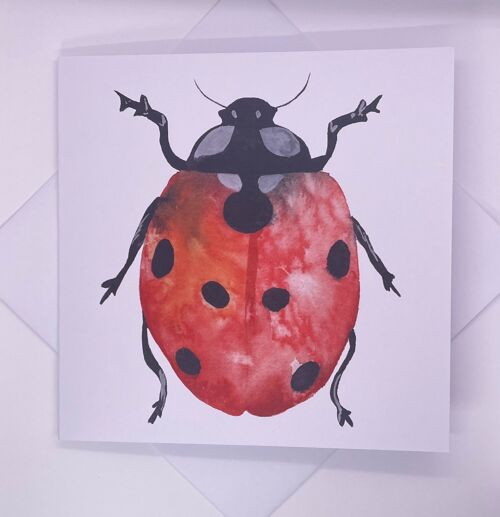 Ladybird Watercolour Greetings Card Blank Inside