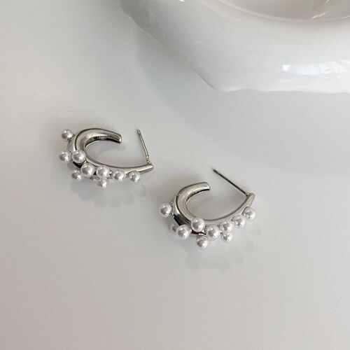 Nataly Earrings in Silver