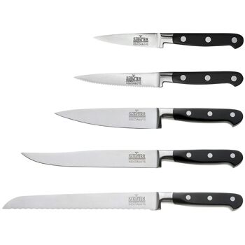 V Sabatier - Bloc 5 couteaux de cuisine - Richardson Sheffield 2