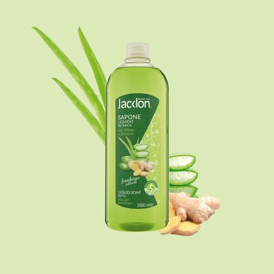 RICARICA SAPONE LIQUIDO CON GEL D'ALOE E ZENZERO 1000 ML JACKLON