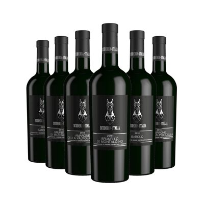 Pack of 6 Scuderia Italia Collectible Bottles: 2xAmarone della Valpolicella DOCG 2016 + 2xBarolo DOCG 2016 + 2xBrunello di Montalcino DOCG 2016