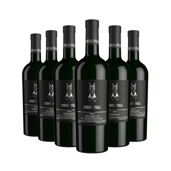 Pack de 6 bouteilles de collection Scuderia Italia : 2xAmarone della Valpolicella DOCG 2016 + 2xBarolo DOCG 2016 + 2xBrunello di Montalcino DOCG 2016