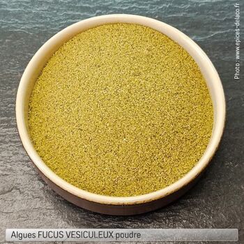 Algues FUCUS VESICULEUX poudre - éco 1