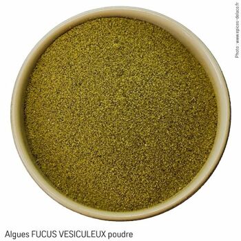 Algues FUCUS VESICULEUX poudre - éco 2