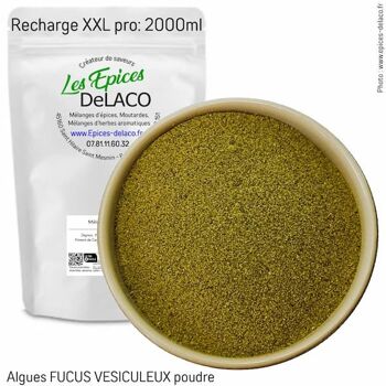 Algues FUCUS VESICULEUX poudre - éco 7