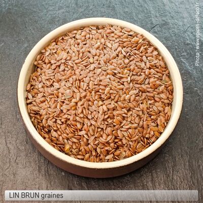 BROWN FLAX Seeds - condiment, herb, spice and flavoring - eco refill