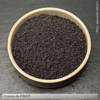 PAVOT graines - 1