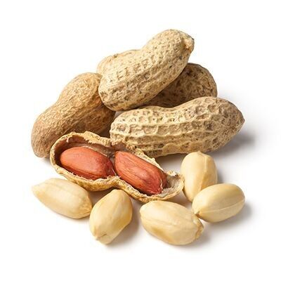 Geröstete Bio-Erdnüsse in der Schale, 5 kg