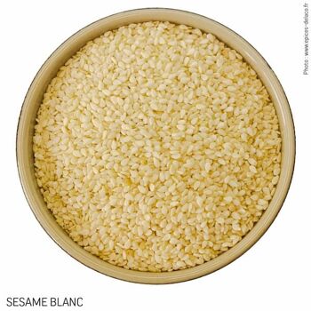 SESAME BLANC graines - 2