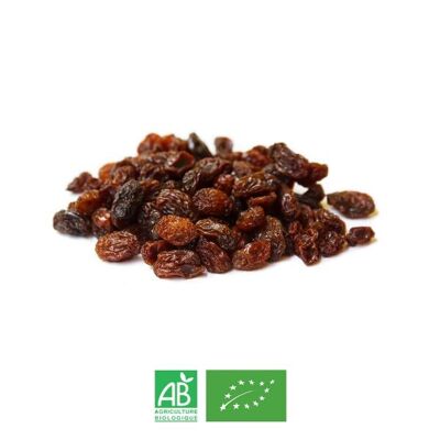 Organic dried sultana grapes Bulk 12.5 kg