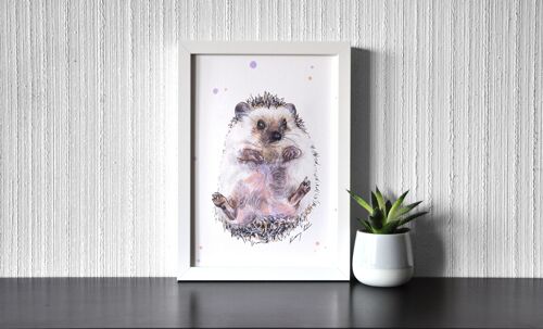 Baby Hedgehog - Art Print